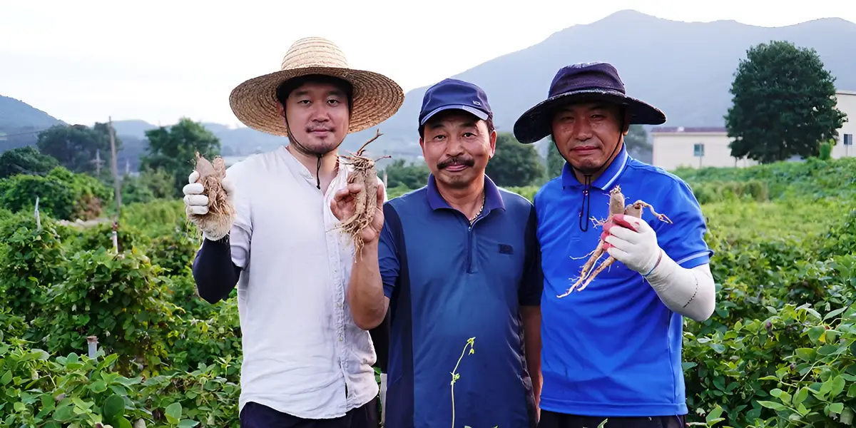 Wir haben unsere Jobs gekündigt, um die Welt zu bereisen. Jetzt leiten meine Frau und ich ihre Familienfarm in Südkorea.