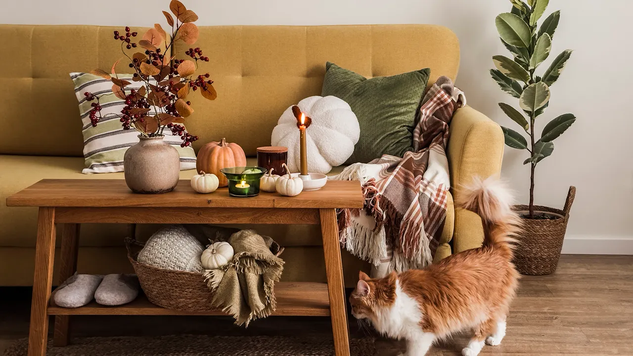 Machen Sie Ihr Zuhause im Herbst gemütlicher mit diesen Upgrades unter 50 Dollar