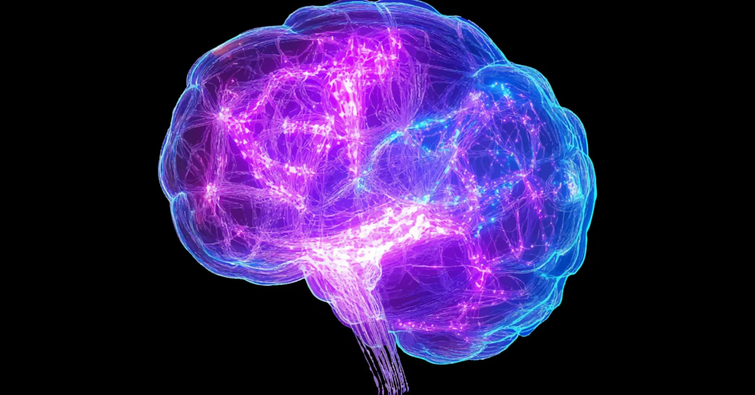 Aufbau positiver Neuroplastizität im wachen Geist